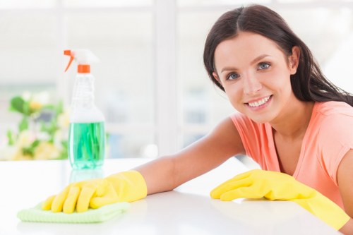 Carpet cleaner in South Woodford using safety procedures