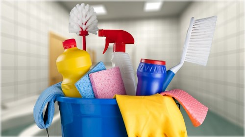 Professional pet stain odour removal on carpet in South Woodford