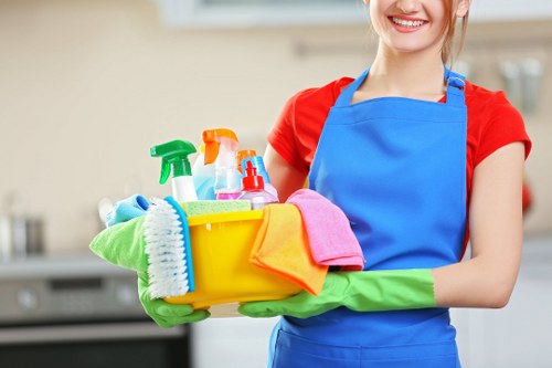 Professional sofa cleaning in South Woodford living room