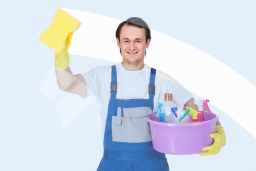 Cleaning pet odour from upholstery in a South Woodford home