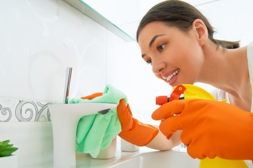 Cleaner protecting furnishings while preparing a carpet cleaning task