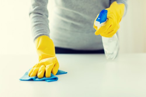 Leather sofa cleaning and conditioning service