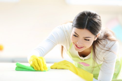 Deep upholstery cleaning process on a fabric sofa
