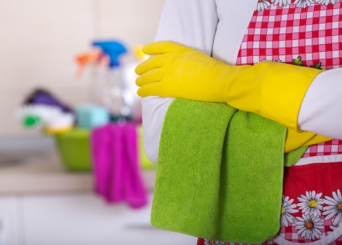Enzyme cleaner treatment for persistent pet odour
